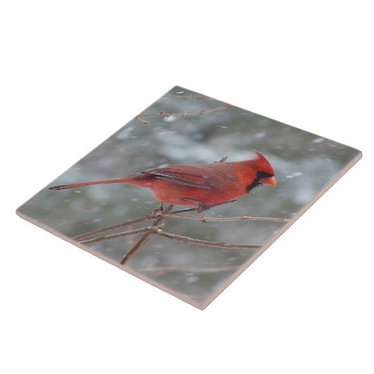 Rode kardinaal tegeltje (Zijkant)