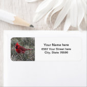 Rode Kardinaal Terugkeeradreslabels Etiket (Insitu)