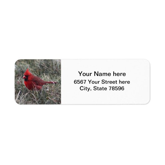 Rode Kardinaal Terugkeeradreslabels Etiket (Voorkant)