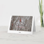 Rode kardinaal, verjaardag laat het schijnen kaart (Achterkant)