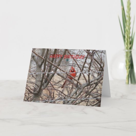 Rode kardinaal, verjaardag laat het schijnen kaart (Voorkant)