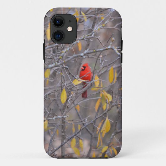 Rode Kardinaal Vogel Herfst Herfstboom Telefoonhoe Case-Mate iPhone Case (Achterkant)