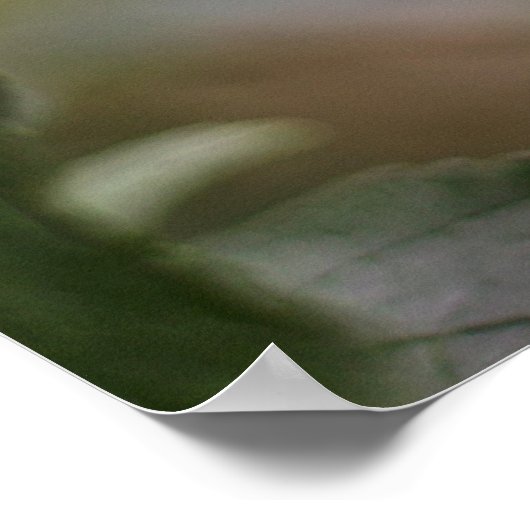 Rode kardinaal vogel in de boom poster (Hoek)