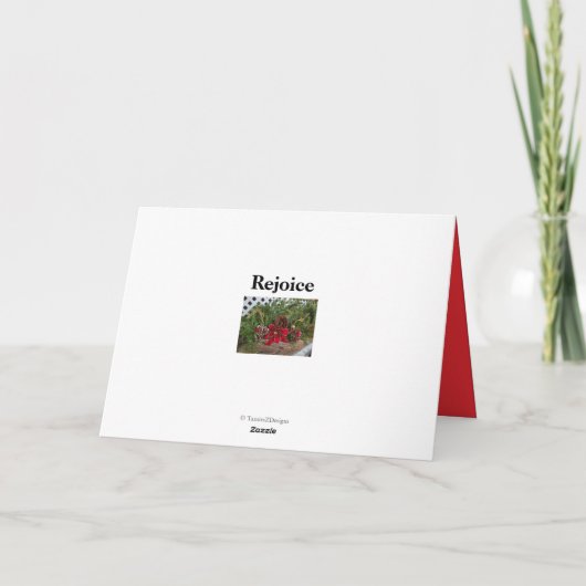 Rode Kardinaal Vogel in de Kaart van het Sneeuwsei (Achterkant)