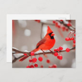 Rode Kardinaal Vogel met Wilde Bosbessen Briefkaart (Voorkant / Achterkant)