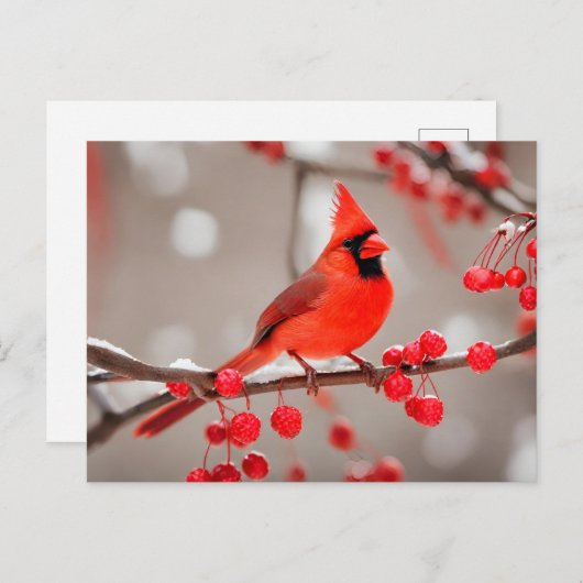 Rode Kardinaal Vogel met Wilde Bosbessen Briefkaart (Voorkant / Achterkant)