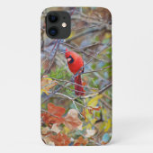 Rode Kardinaal Vogel Natuur Kunst Telefoon Case (Achterkant)