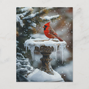 Rode Kardinaal Vogel op een Frozen Birdbath Art Briefkaart