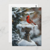Rode Kardinaal Vogel op een Frozen Birdbath Art Briefkaart (Voorkant / Achterkant)