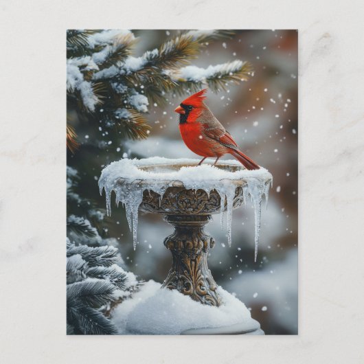 Rode Kardinaal Vogel op een Frozen Birdbath Art Briefkaart (Voorkant)