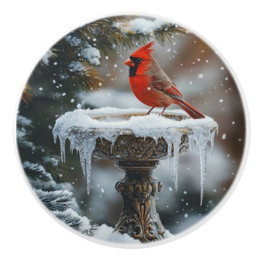 Rode Kardinaal Vogel op een Frozen Birdbath Art Keramische Knop (Voorkant)