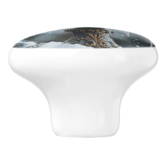 Rode Kardinaal Vogel op een Frozen Birdbath Art Keramische Knop (Zijkant)