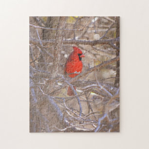 Rode Kardinaal Vogel Puzzel