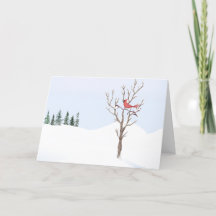 Rode Kardinaal Vogel Vrede Op Aarde Vrolijk Kerstf