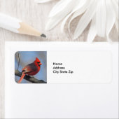  Rode Kardinaal Wildleven Etiket (Insitu)