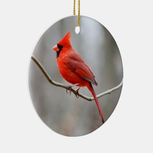 Rode kardinaalsteun keramisch ornament (Rechts)