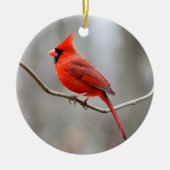 Rode kardinaalsteun keramisch ornament (Voorkant)