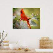 Rode Kardinaalvogel in Boom Poster (Keuken)
