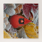 Rode Kardinaalvogel in Vorstige Herfstbladeren Legpuzzel (Horizontaal)