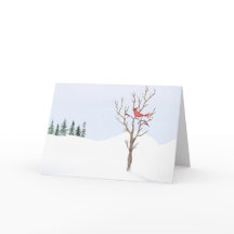 Rode Kardinaalvogel Vrede Op Aarde Familie