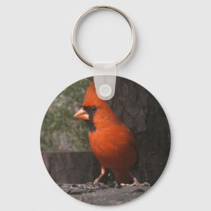 Rode kardinale Sleutelhanger
