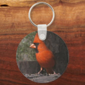Rode kardinale Sleutelhanger (Voorkant)