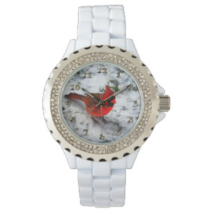 Rode Kardinale Veters en Plumage Horloge