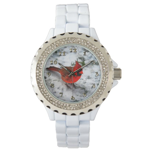 Rode Kardinale Veters en Plumage Horloge (Voorkant)