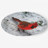 Rode Kardinale Veters en Plumage Papieren Bordje (Gekanteld)