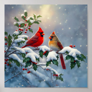 Rode kardinalen en hulst in de sneeuw poster