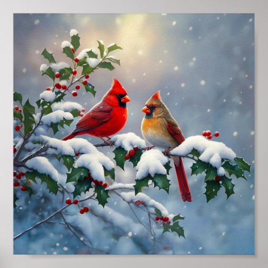 Rode kardinalen en hulst in de sneeuw poster (Voorkant)