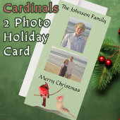 Rode Kardinalen Kerstvogels Lichtgroen Feestdagenkaart