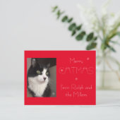 Rode Kat Pet Foto Merry Catmas Feestdagenkaart (Staand voorkant)