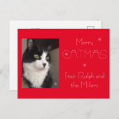 Rode Kat Pet Foto Merry Catmas Feestdagenkaart (Voorkant / Achterkant)