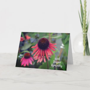 Rode kegel bloeit echinacea met sympathie kaart