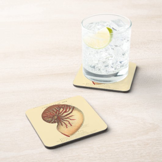  rode kegel Shell Bier Onderzetter (Rechterzijde)