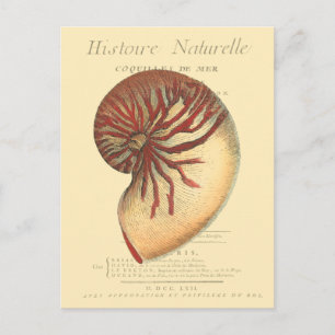 rode kegel Shell Briefkaart