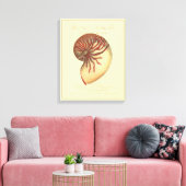 rode kegel Shell Canvas Afdruk (Insitu (Woonkamer))