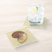 rode kegel Shell Glazen Onderzetter (Schuin)