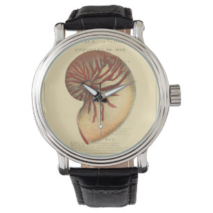  rode kegel Shell Horloge