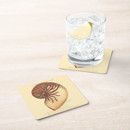  rode kegel Shell Kartonnen Onderzetters (Insitu)