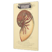 rode kegel Shell Klembord (Links)