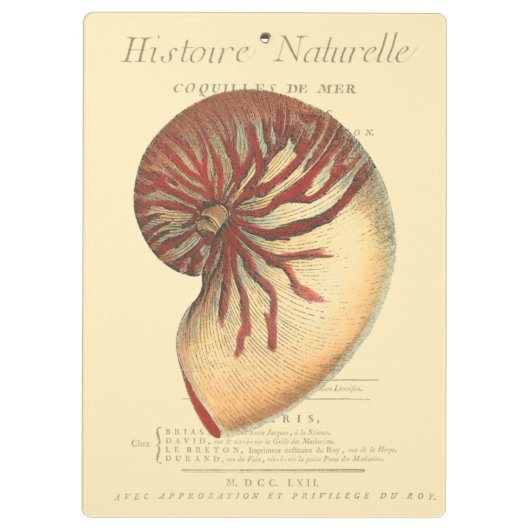 rode kegel Shell Klembord (Achterkant)