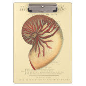 rode kegel Shell Klembord (Voorkant)