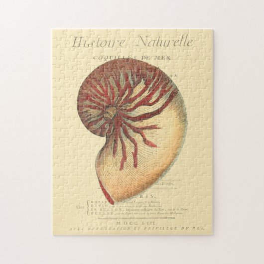 rode kegel Shell Legpuzzel (Verticaal)