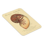 rode kegel Shell Magneet (Rechterzijde)