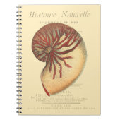  rode kegel Shell Notitieboek (Voorkant)