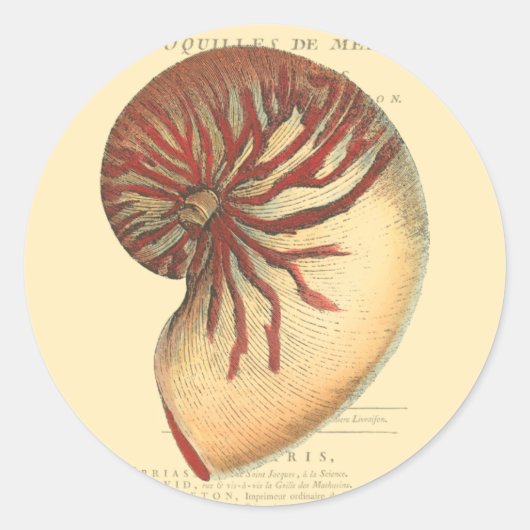 rode kegel Shell Ronde Sticker (Voorkant)