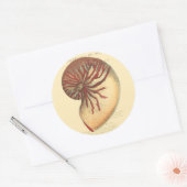 rode kegel Shell Ronde Sticker (Envelop)