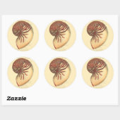 rode kegel Shell Ronde Sticker (Vel)